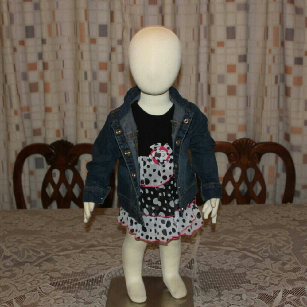 Arizona Denim Jacket and Dress Combo